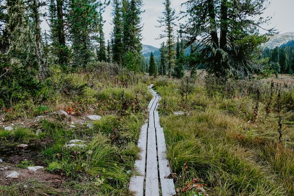 What are the best times of year to visit the UK's natural reserves for wildlife spotting?